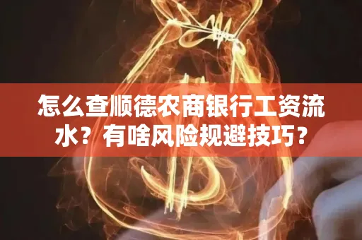 怎么查顺德农商银行工资流水？有啥风险规避技巧？